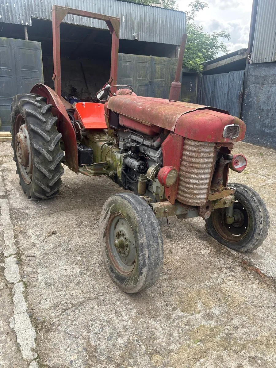 Looking part for 65 Massey
