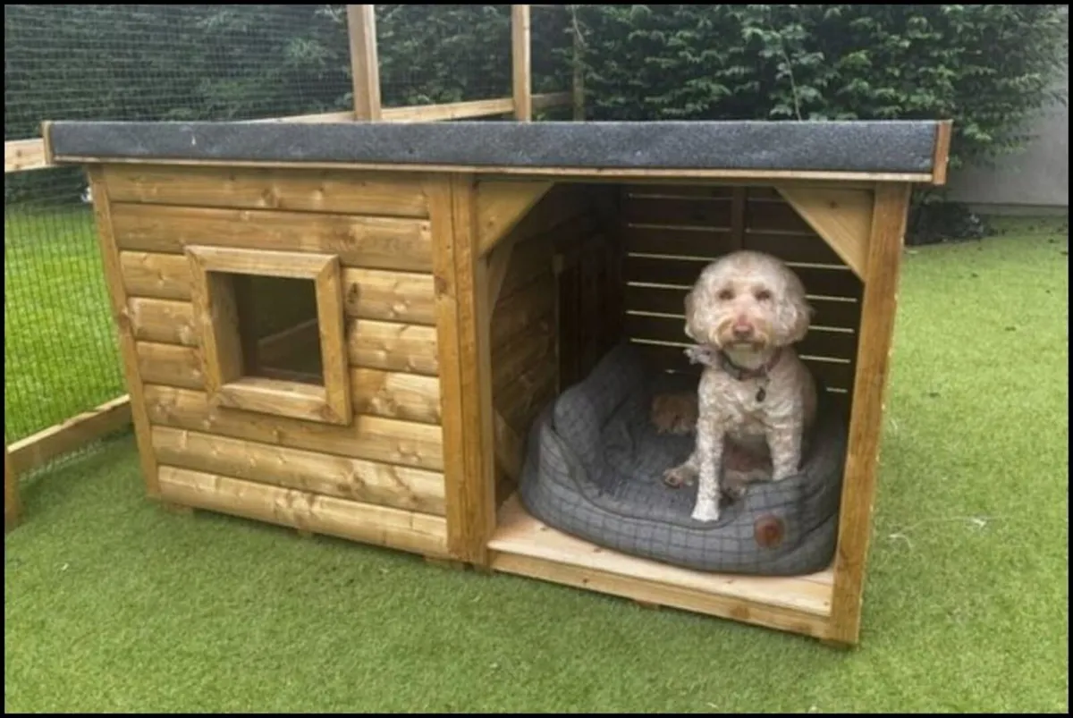 Dog Boxes - Image 4