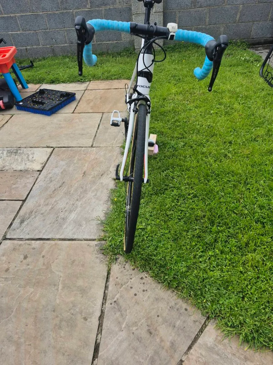 Focus izalco full carbon - Image 2