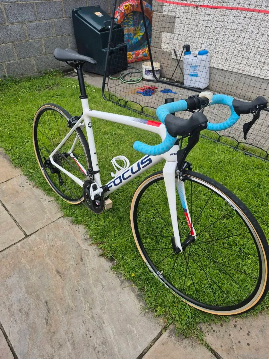 Focus izalco full carbon - Image 1