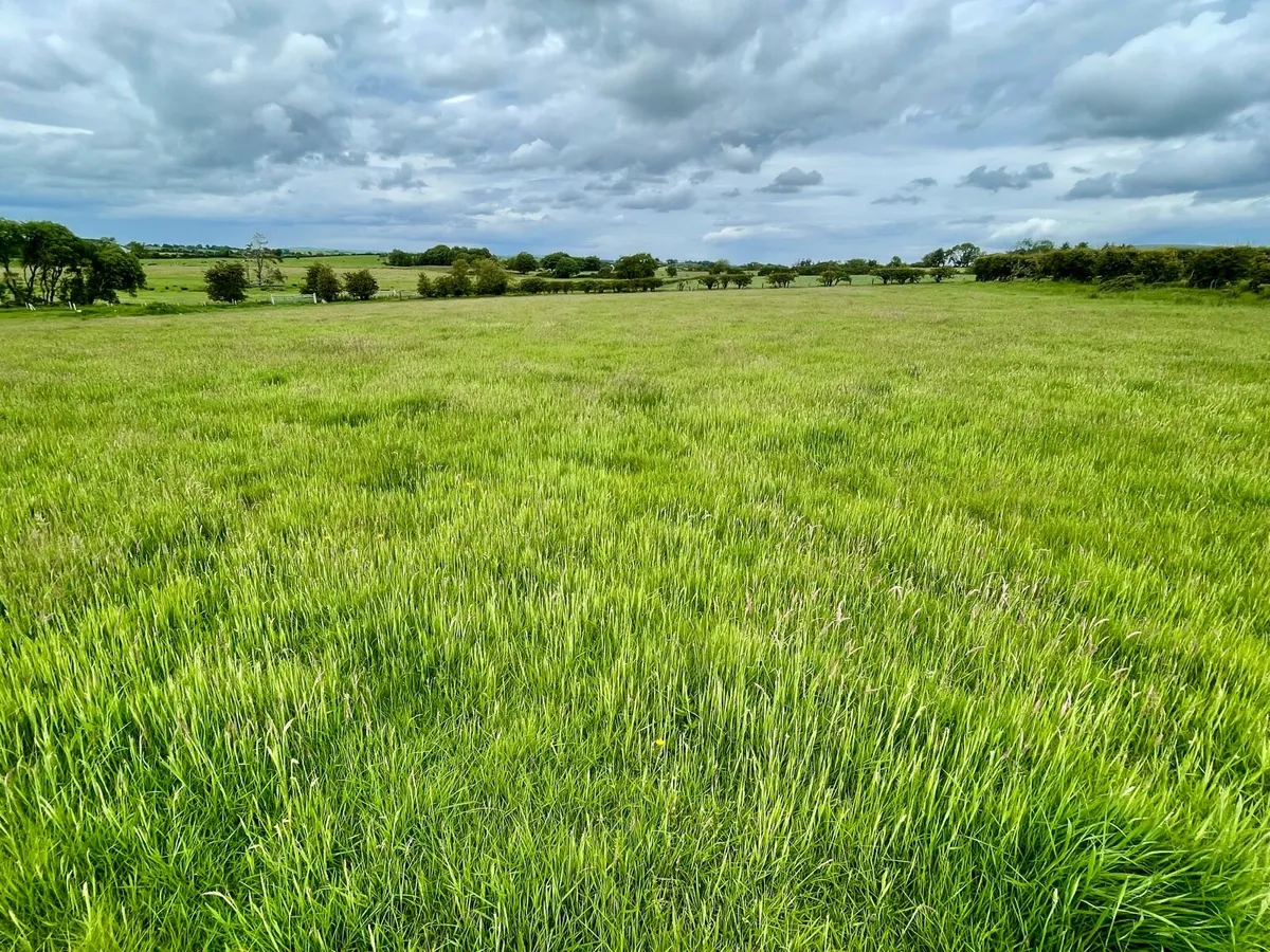 23.5 Acres Agricultural Land for rent lease Armoy - Image 2