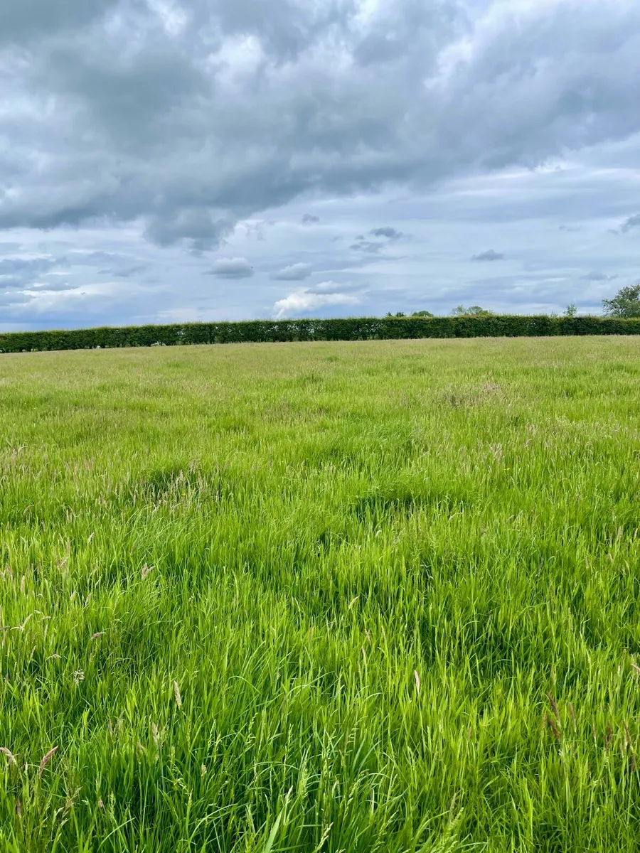 23.5 Acres Agricultural Land for rent lease Armoy - Image 3