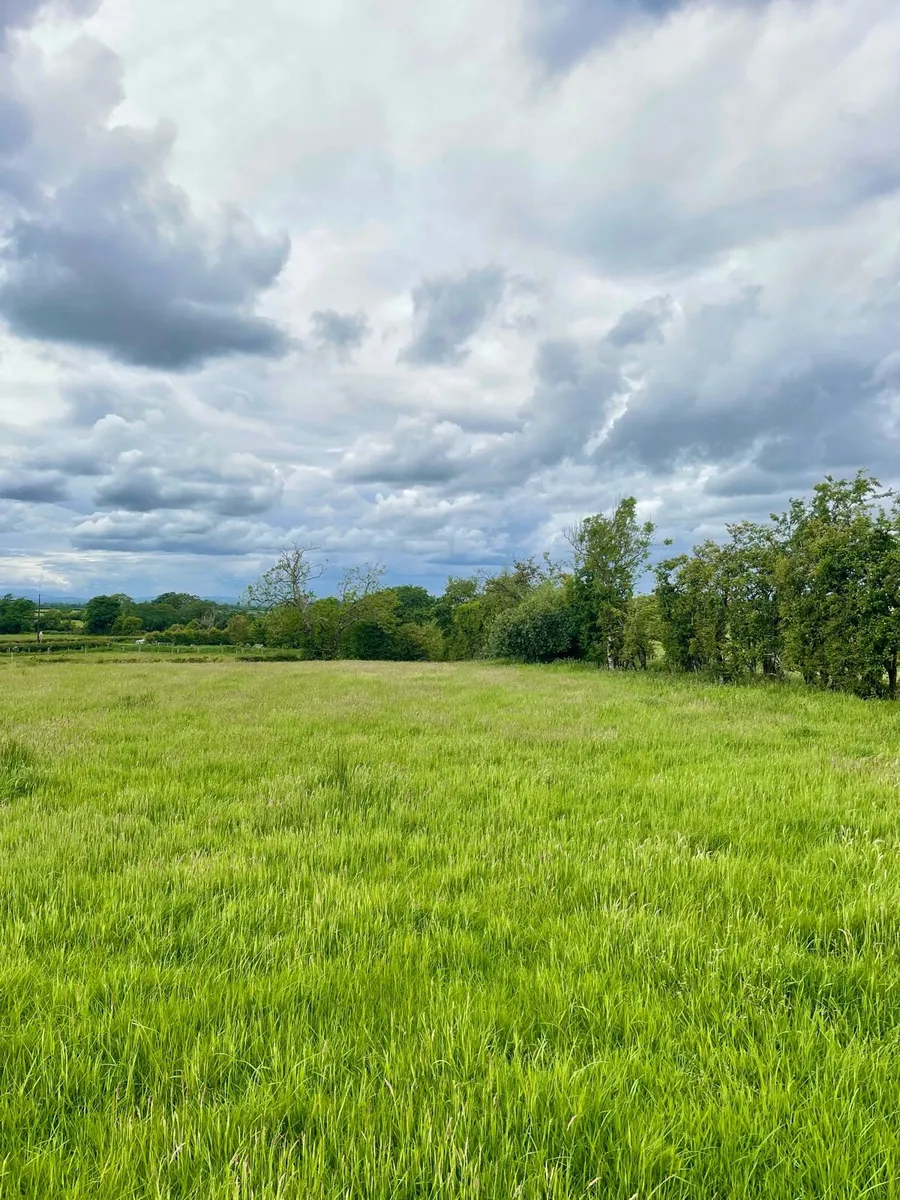23.5 Acres Agricultural Land for rent lease Armoy - Image 4