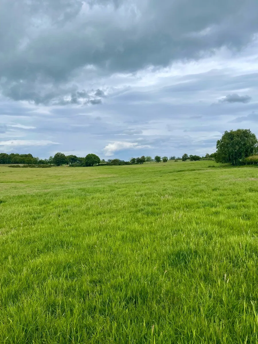 23.5 Acres Agricultural Land for rent lease Armoy - Image 1
