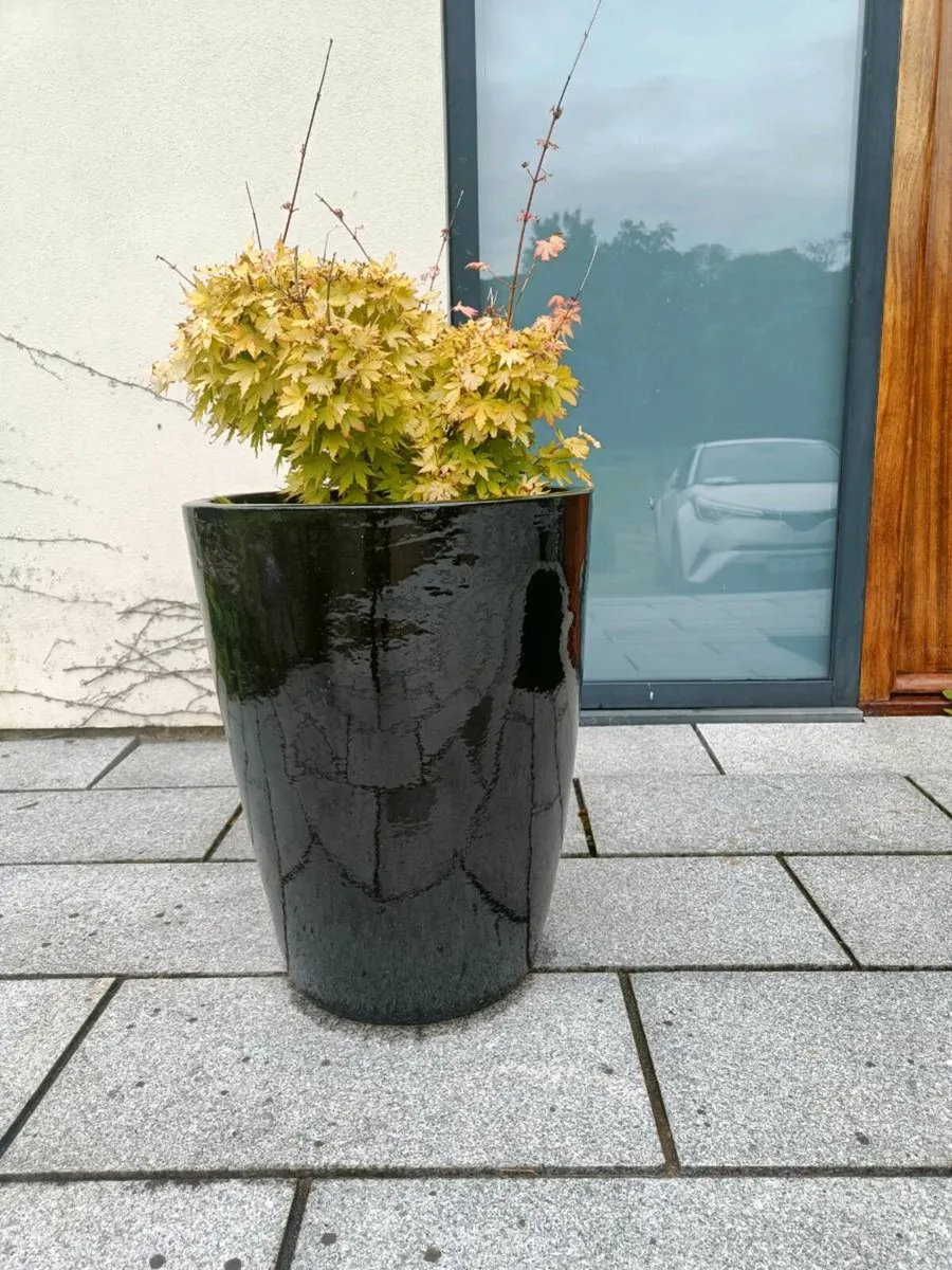 Plant pots various - Image 4