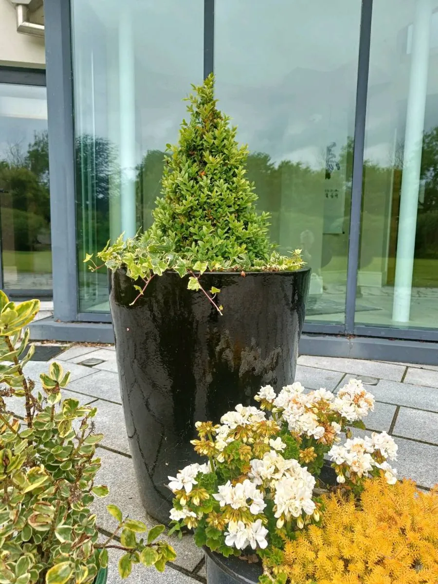 Plant pots various - Image 1