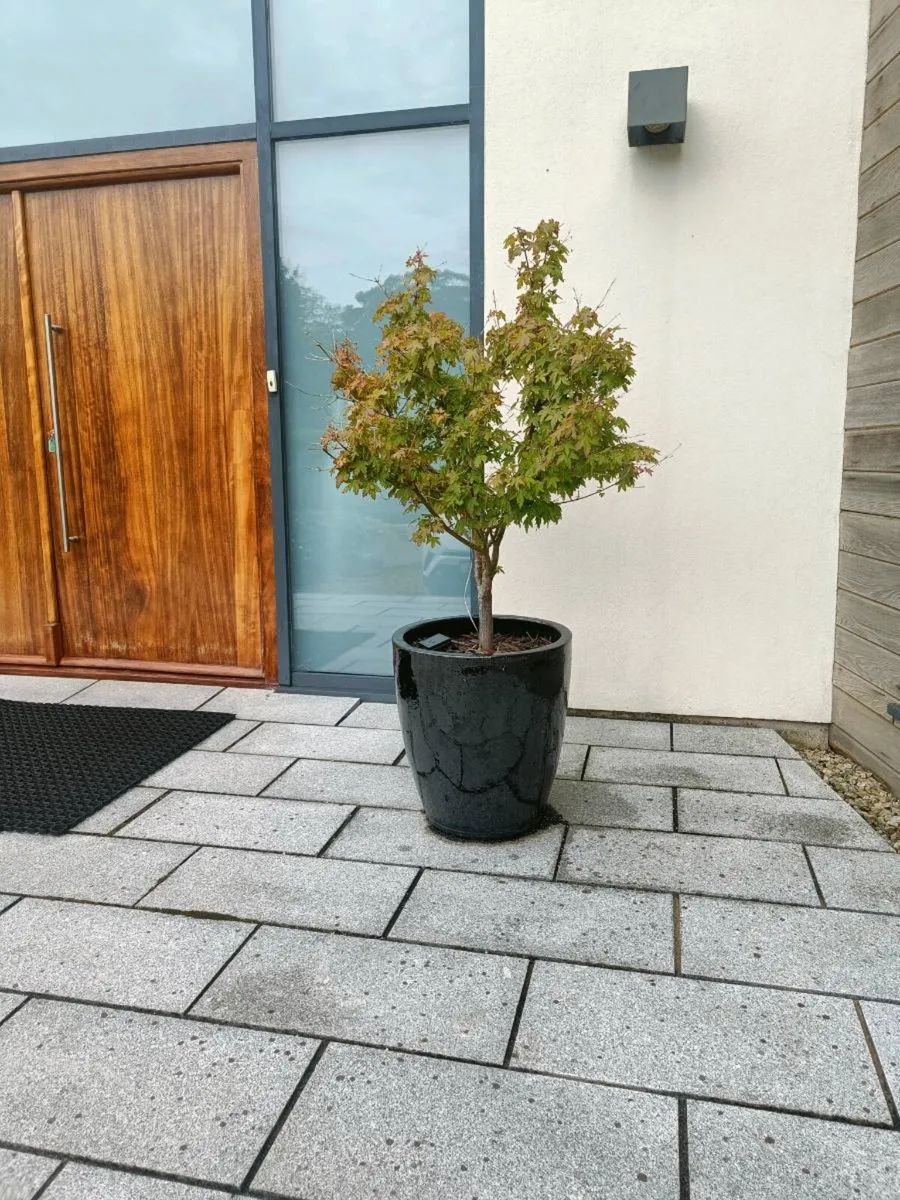 Plant pots various - Image 3