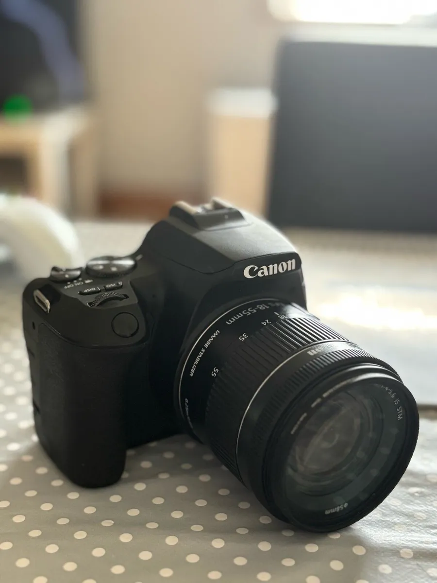 Canon EOS 250D (& 2 lenses, 3 batteries, charger) - Image 1