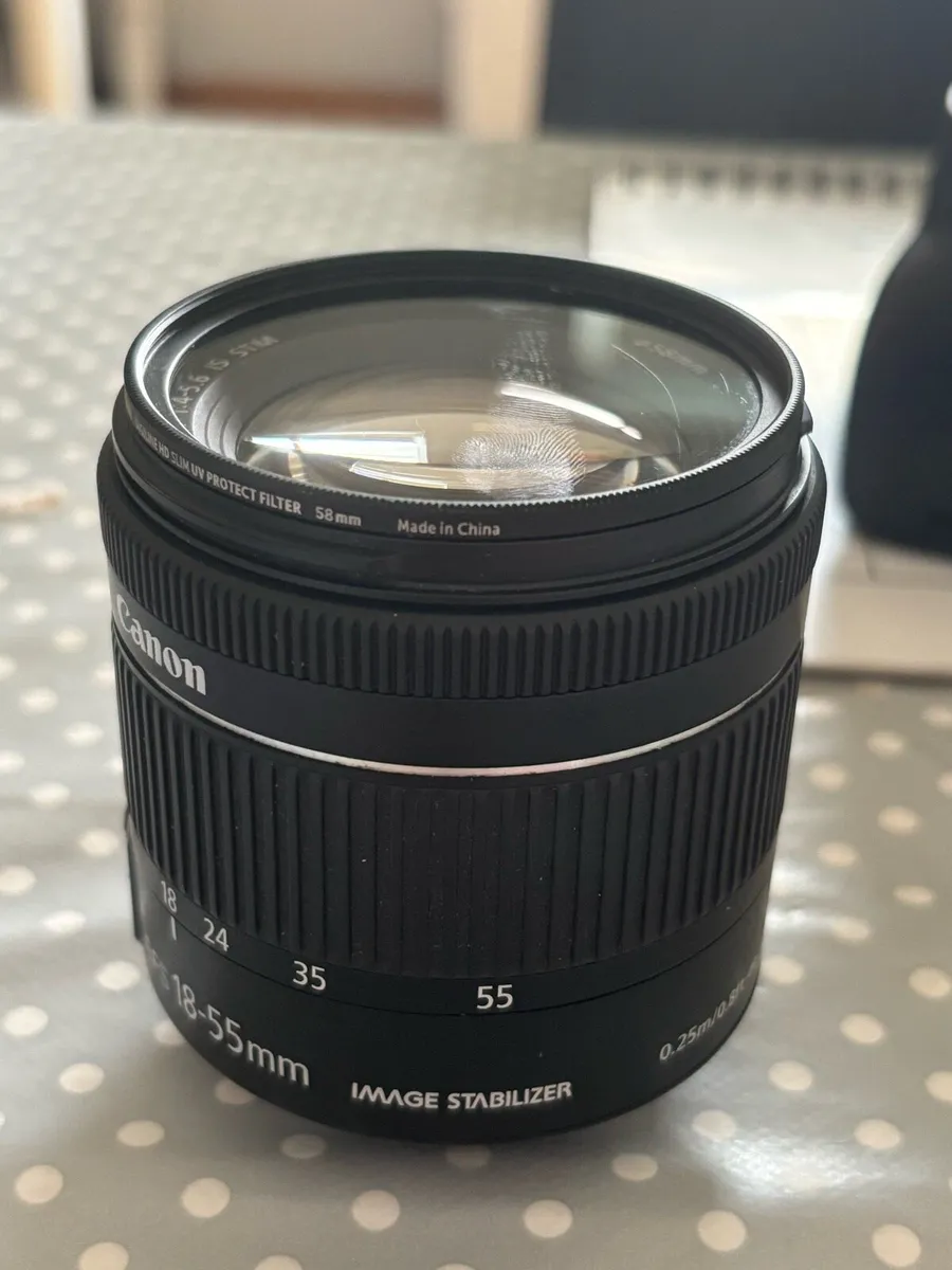 Canon EOS 250D (& 2 lenses, 3 batteries, charger) - Image 3