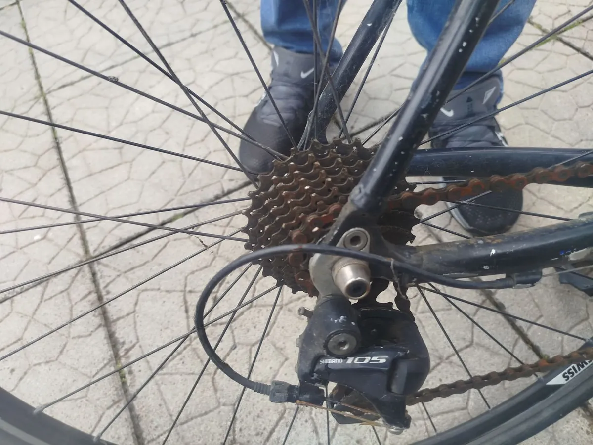 Racer bike - Image 2