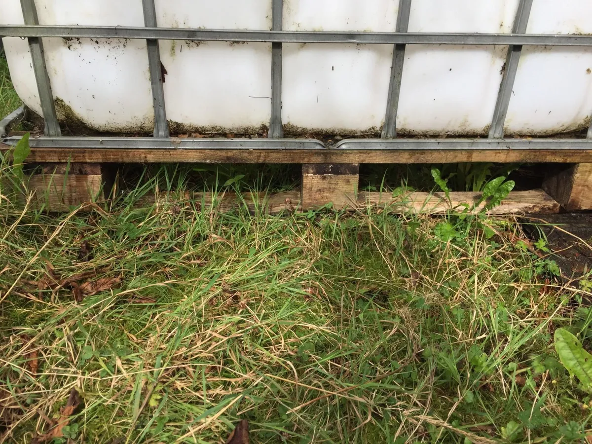 1000 ltr IBC tank - Image 4