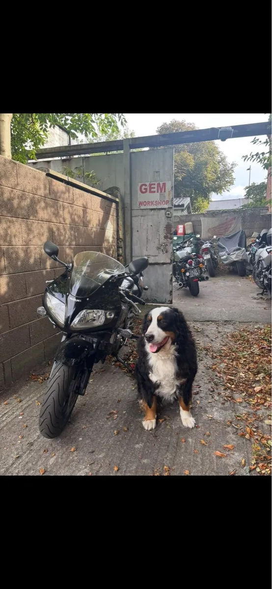 Suzuki SV 650cc - Image 1