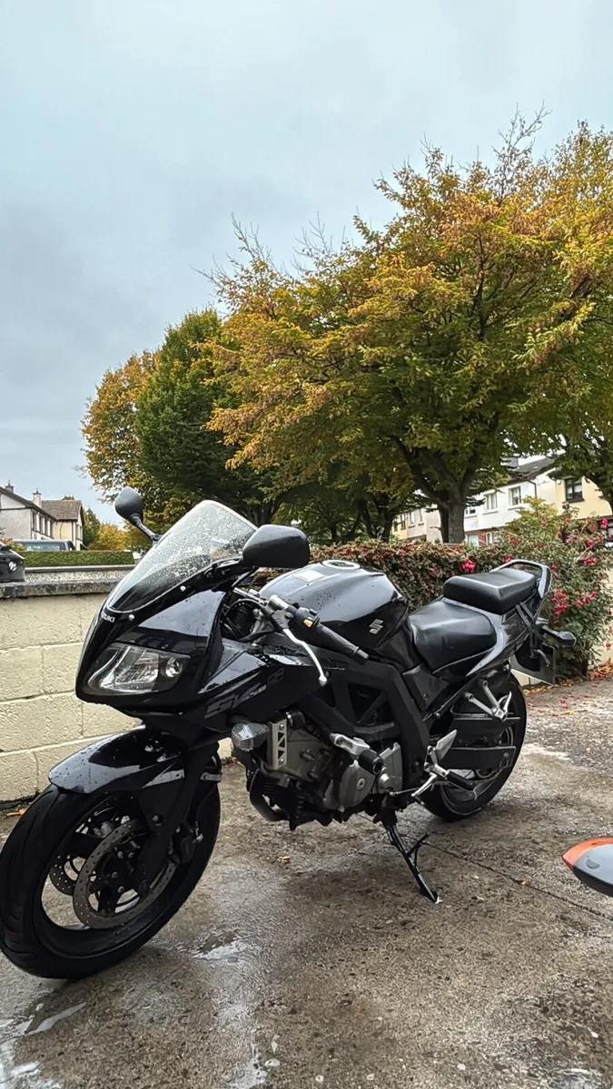 Suzuki SV 650cc - Image 2