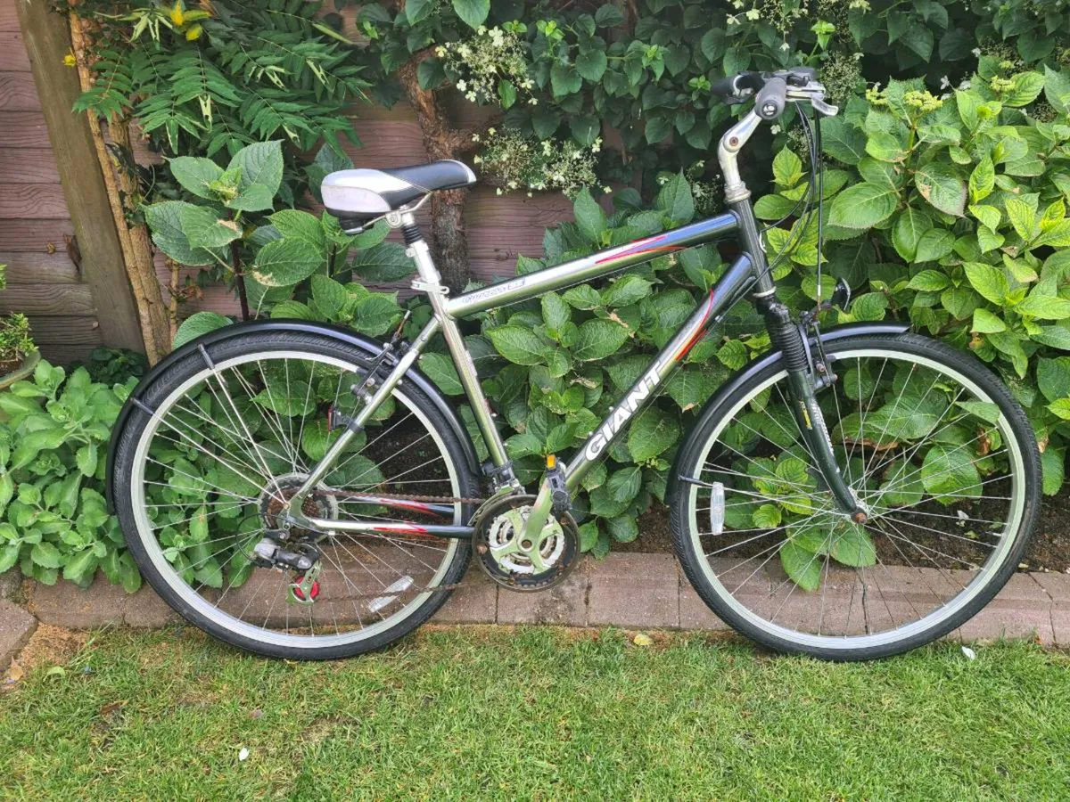 Giant Hybrid Bicycle - Image 2