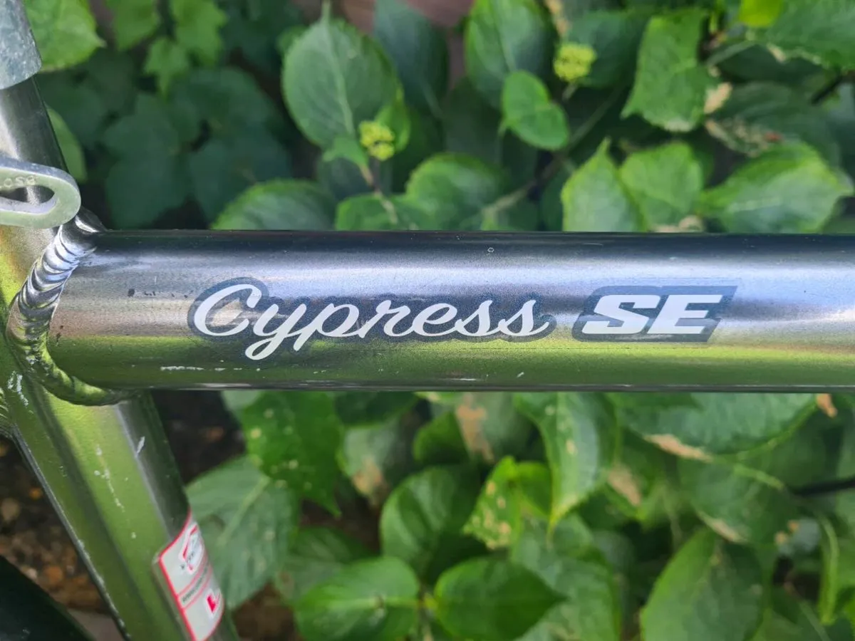 Giant Hybrid Bicycle - Image 3