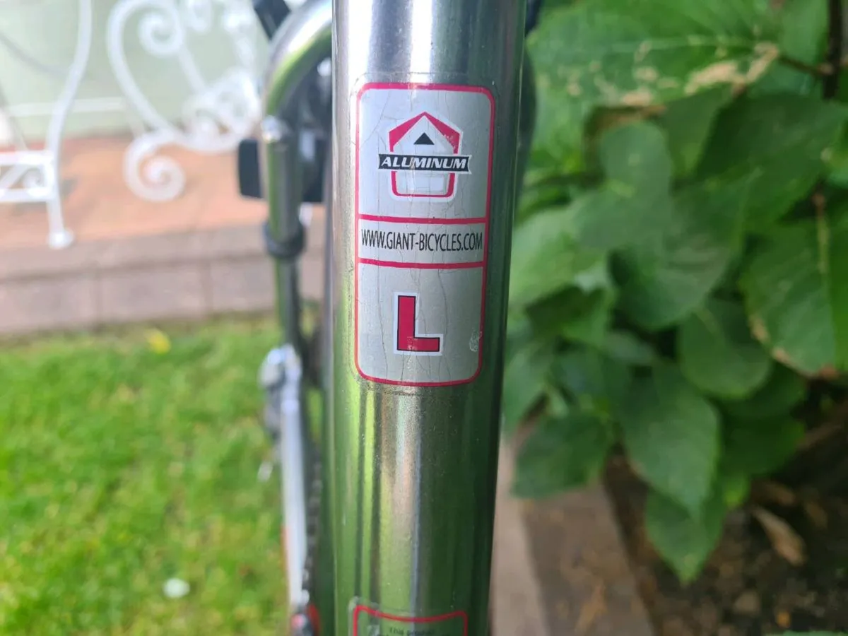 Giant Hybrid Bicycle - Image 4