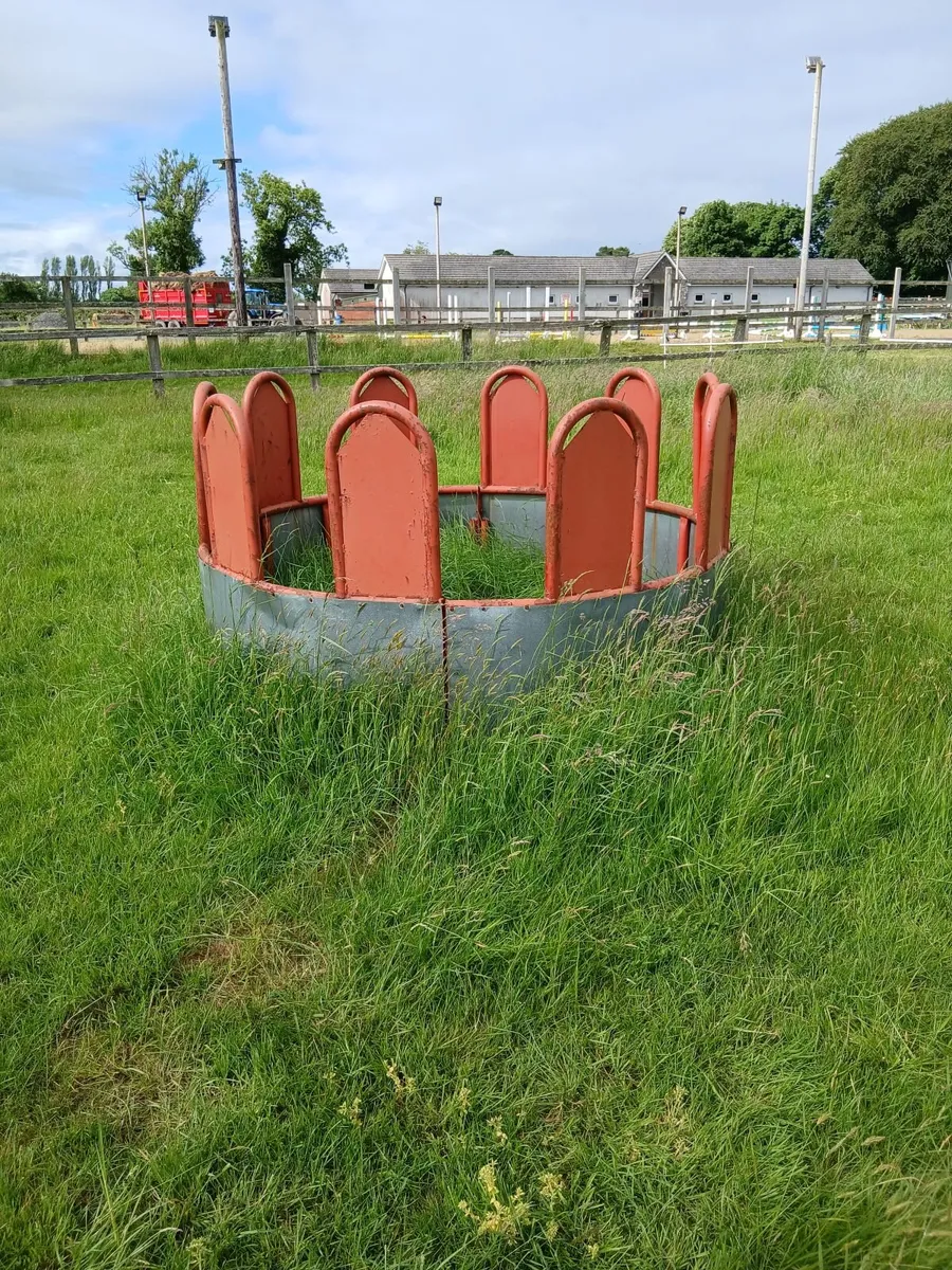 Ring horse feeder - Image 1