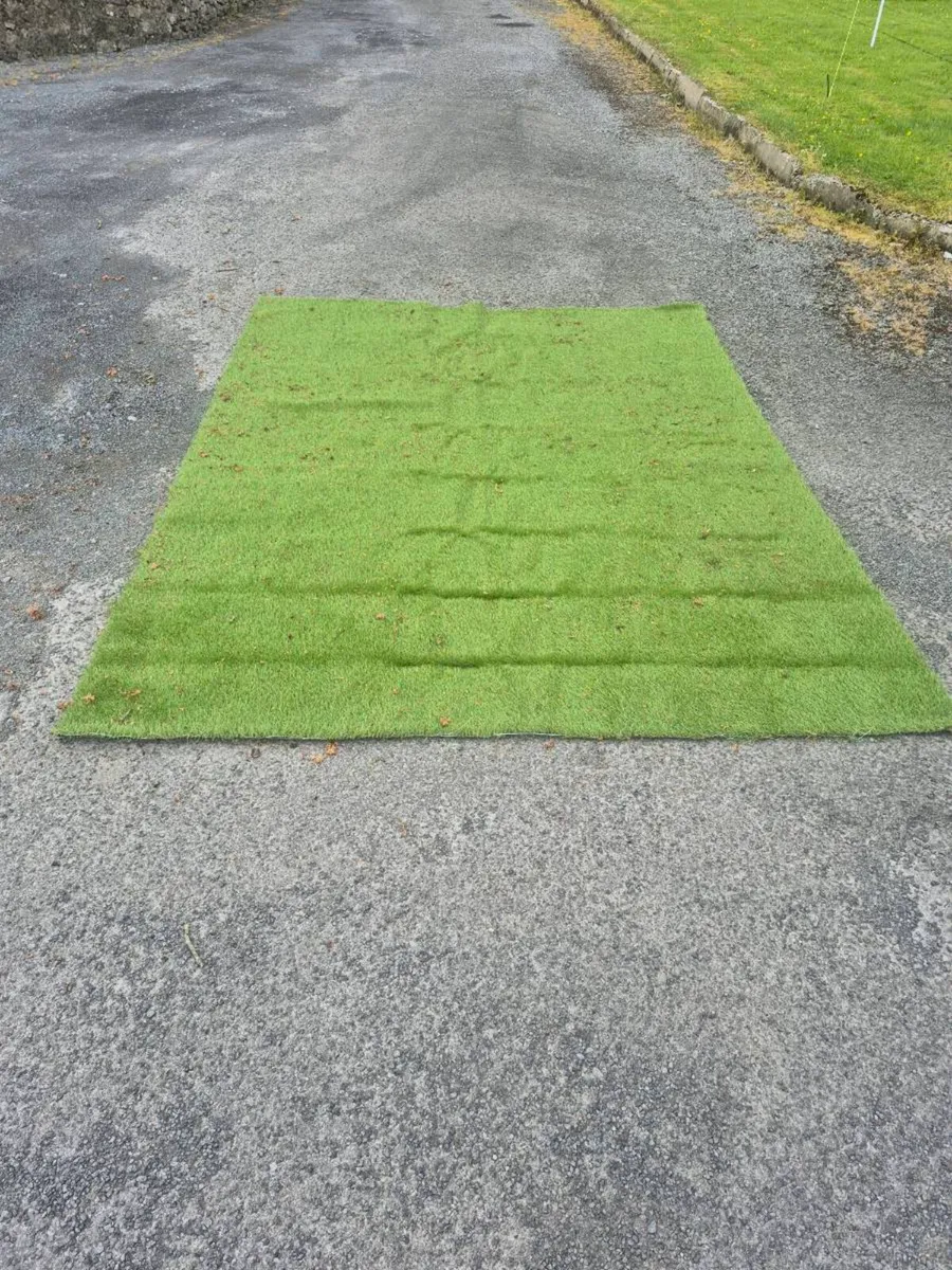 Astro Turf Grass - Image 1