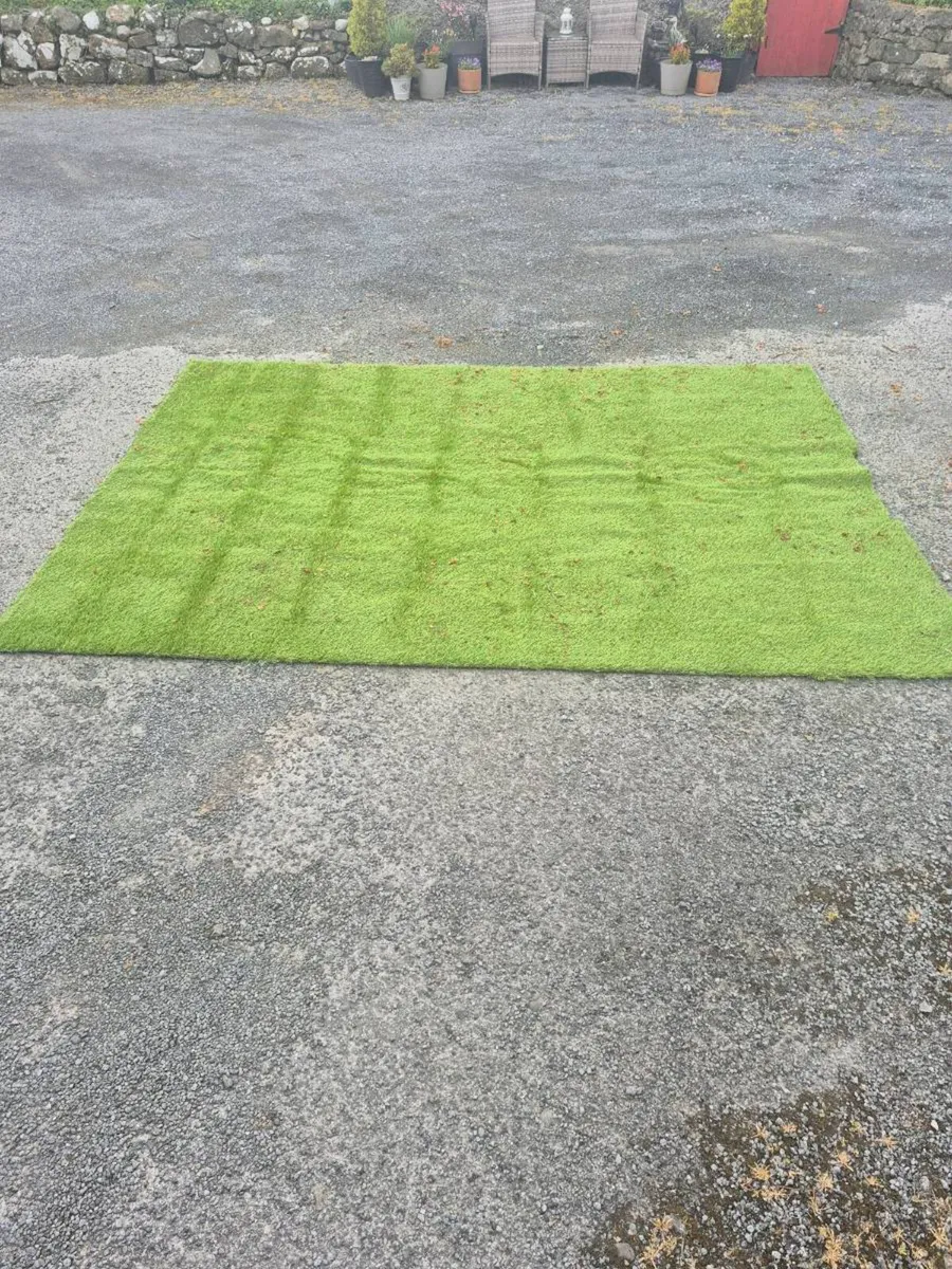 Astro Turf Grass - Image 2