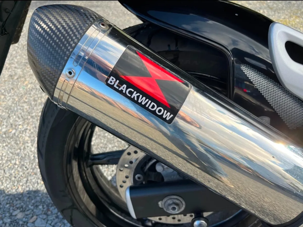 2010 SUZUKI SFV 650 GLADIUS MOTO4U - Image 3