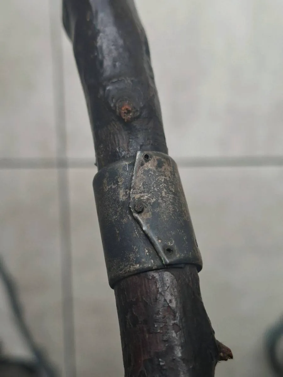 Antique Traditional Irish Blackthorn walking stick - Image 1