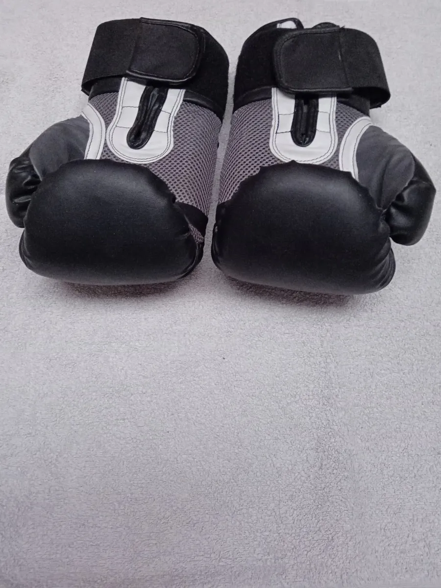Boxing gloves - Image 1