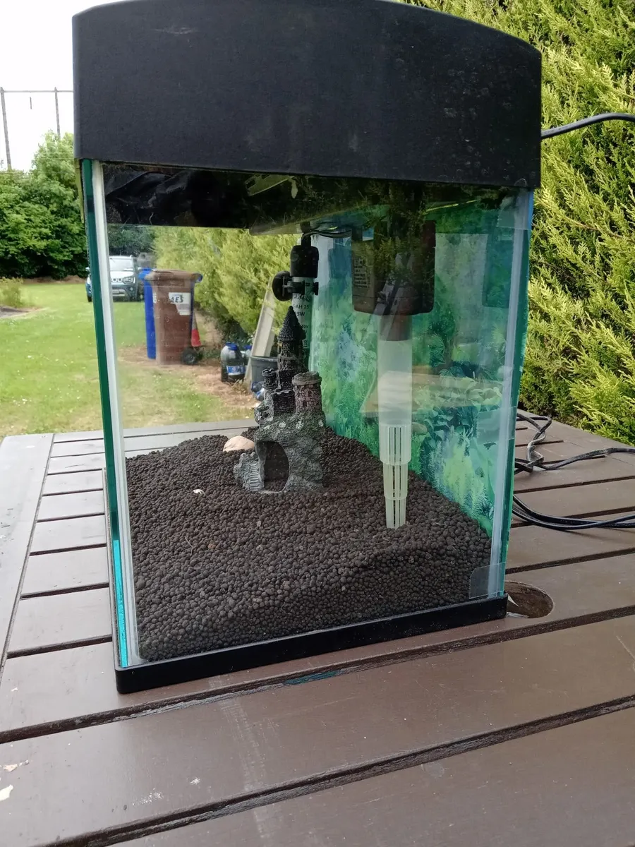 aquarium - Image 3