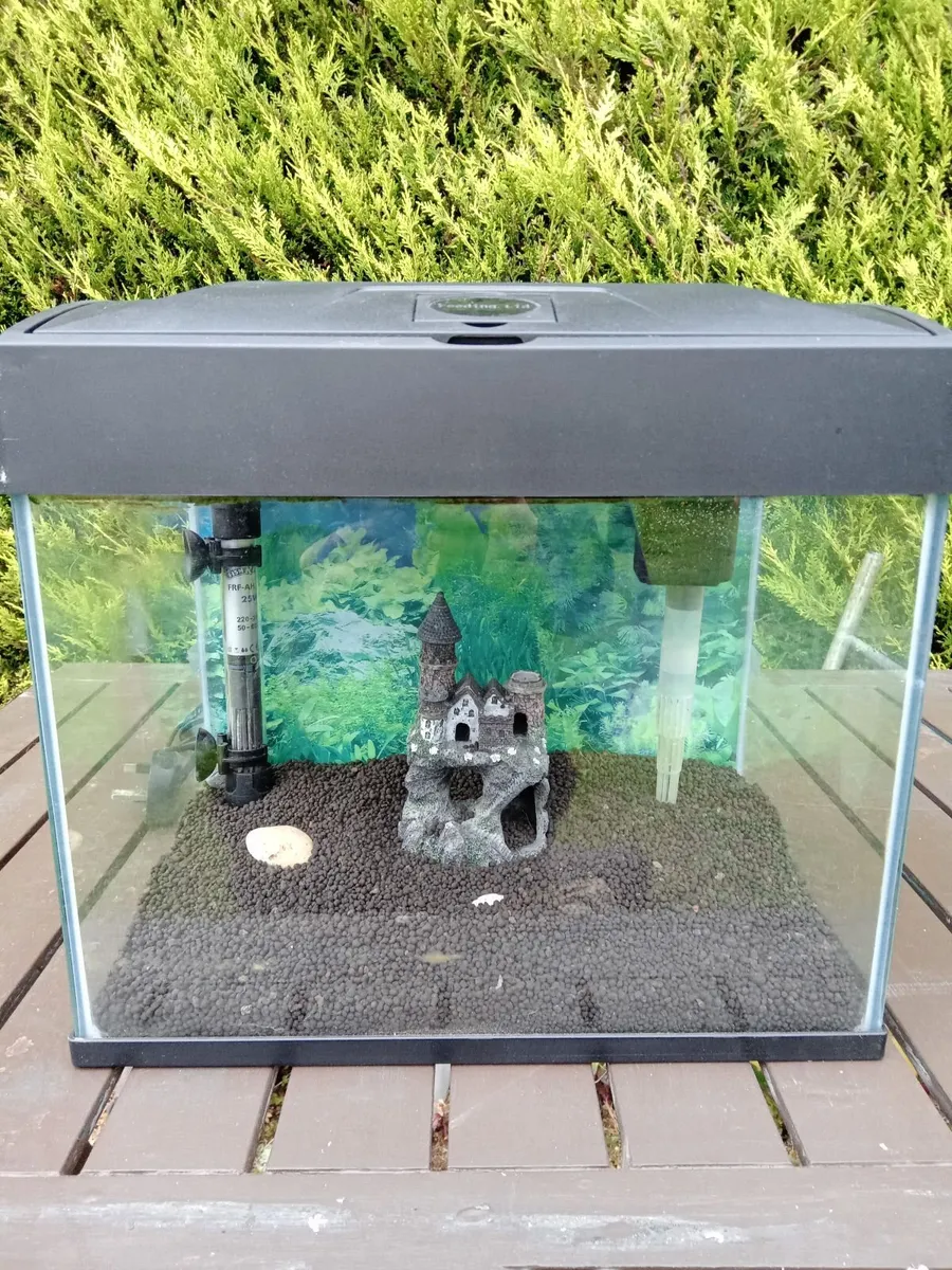 aquarium - Image 4