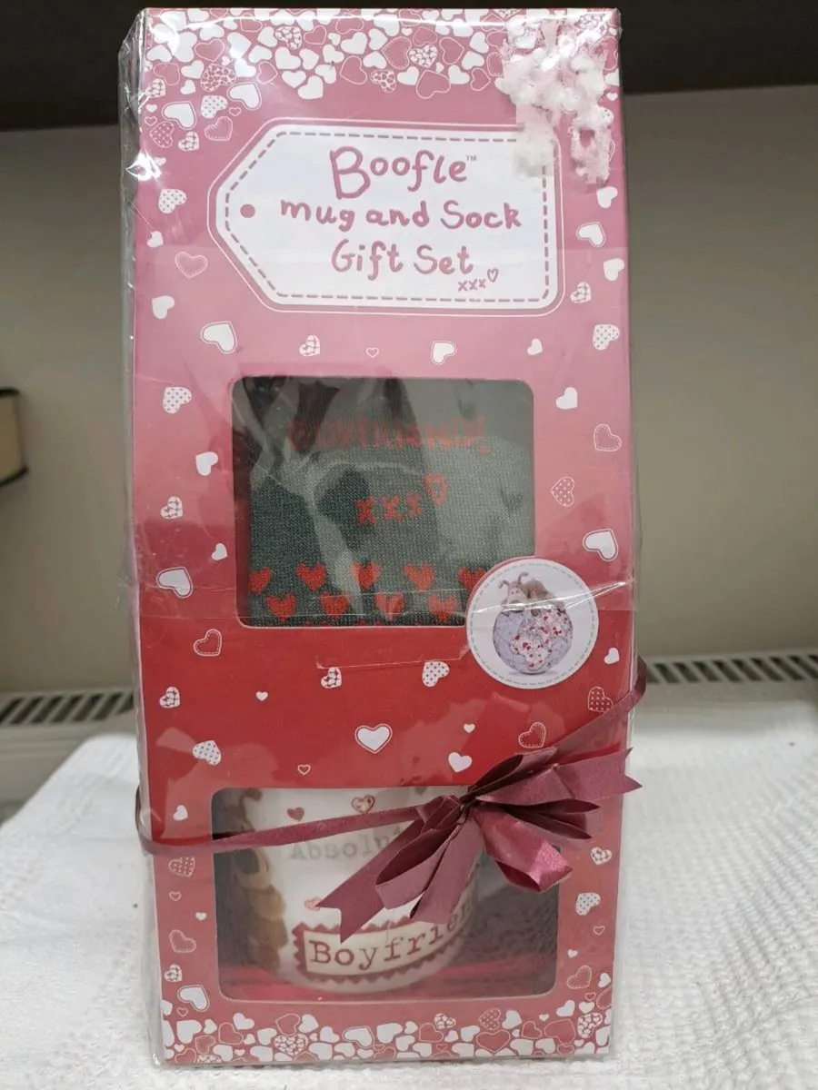 Boofle Absolutely Brilliant Boyfriend Mug Sock - Image 1