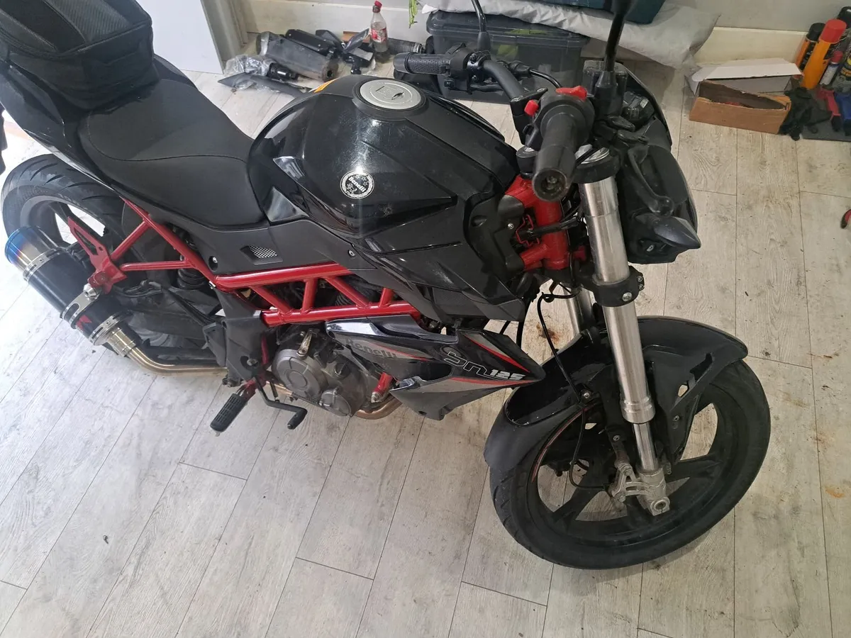 BENELLI Other 2022 - Image 4