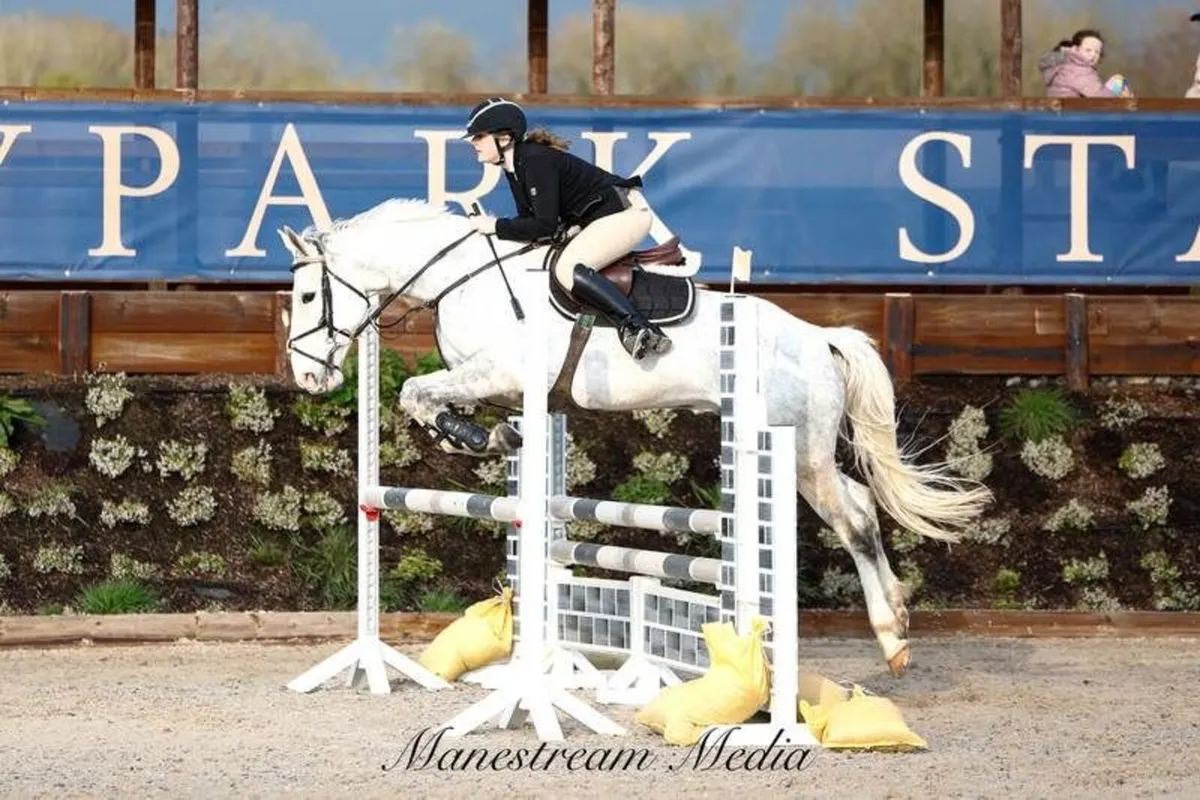 Smashing showjumper - Image 1