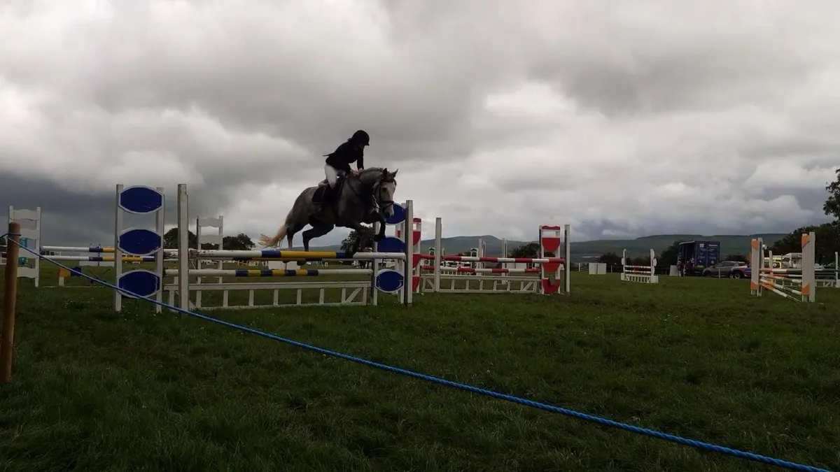 Smashing showjumper - Image 3