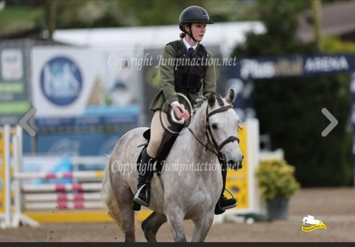 ⭐️6 year old 148 ⭐️ - Image 3