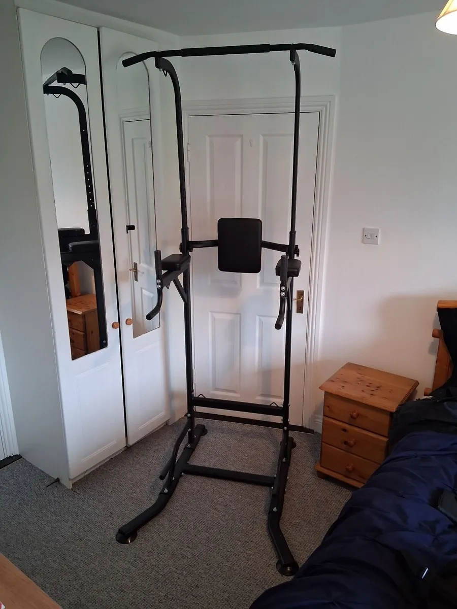 Pull Up Frame and Dumbbells - Image 1