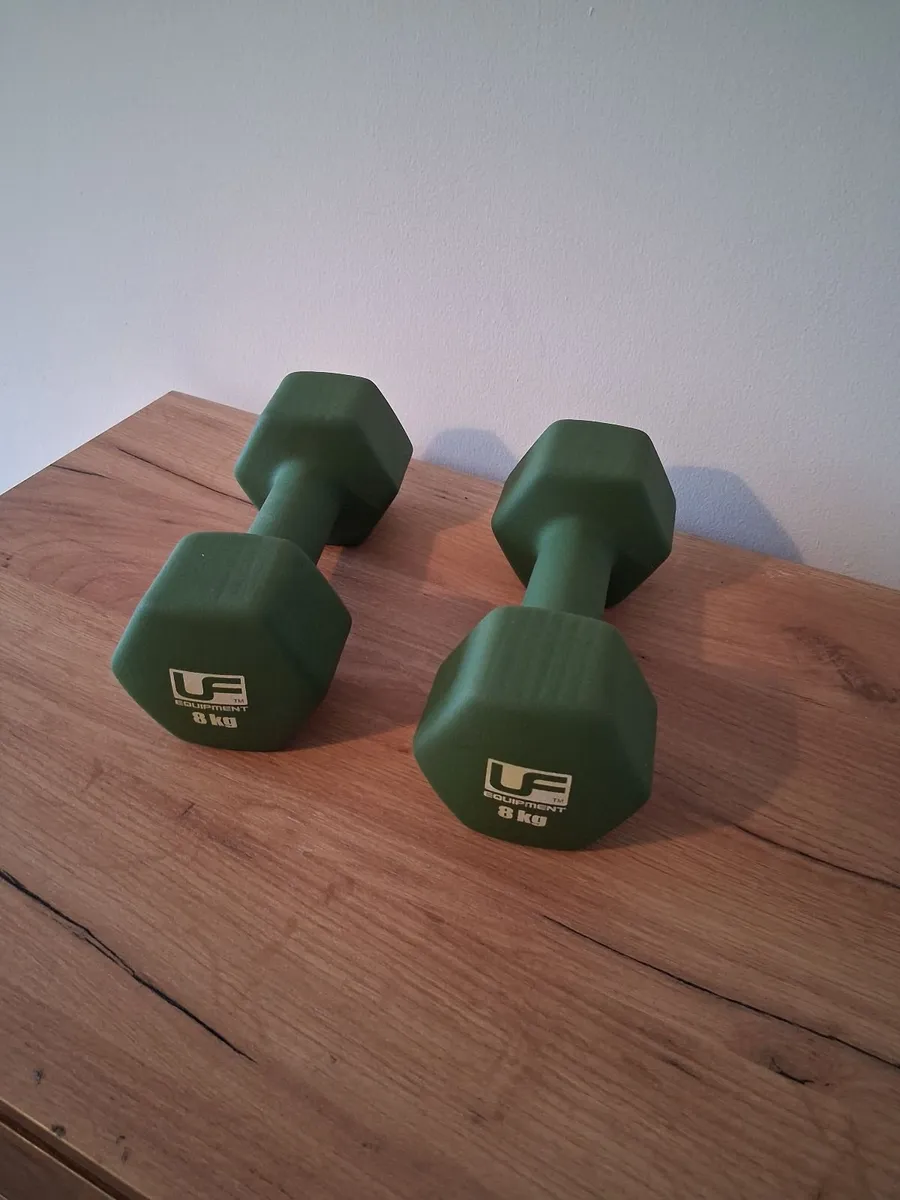 Pull Up Frame and Dumbbells - Image 2