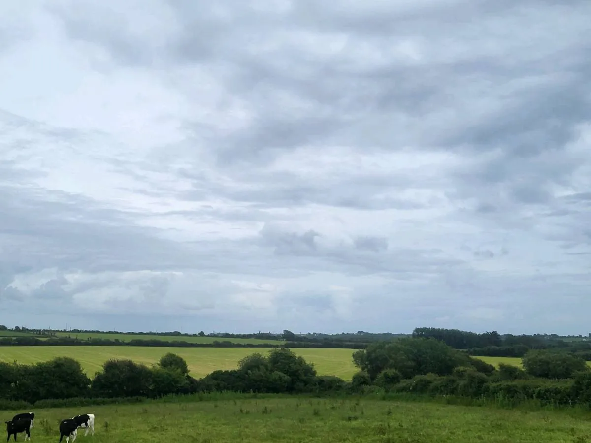 Silage ground for second cut - Image 1