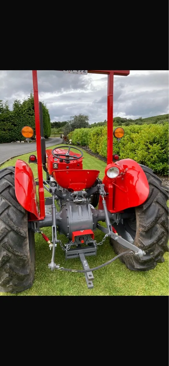 Massey Ferguson 135 - Image 3