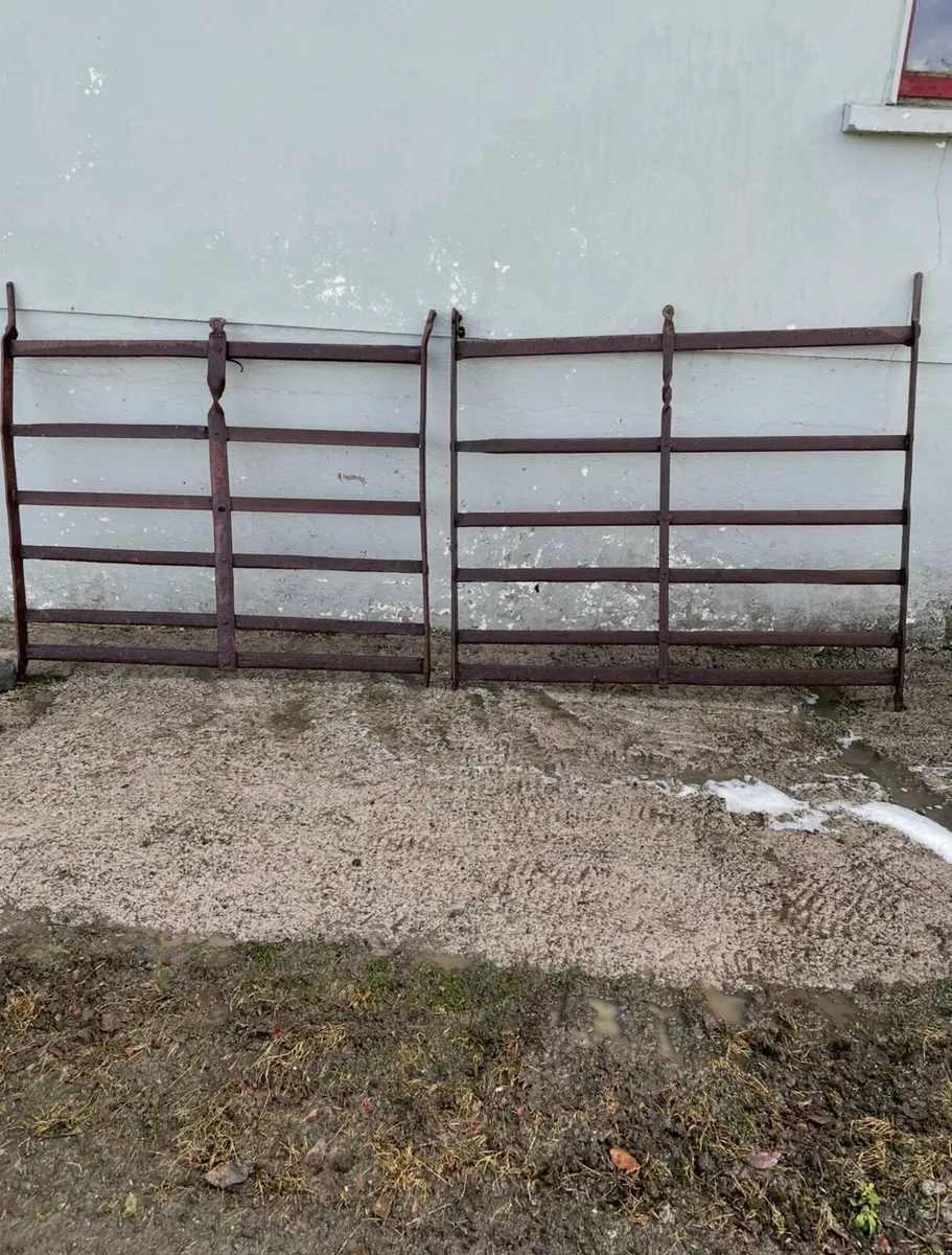 Iron gates - Image 1