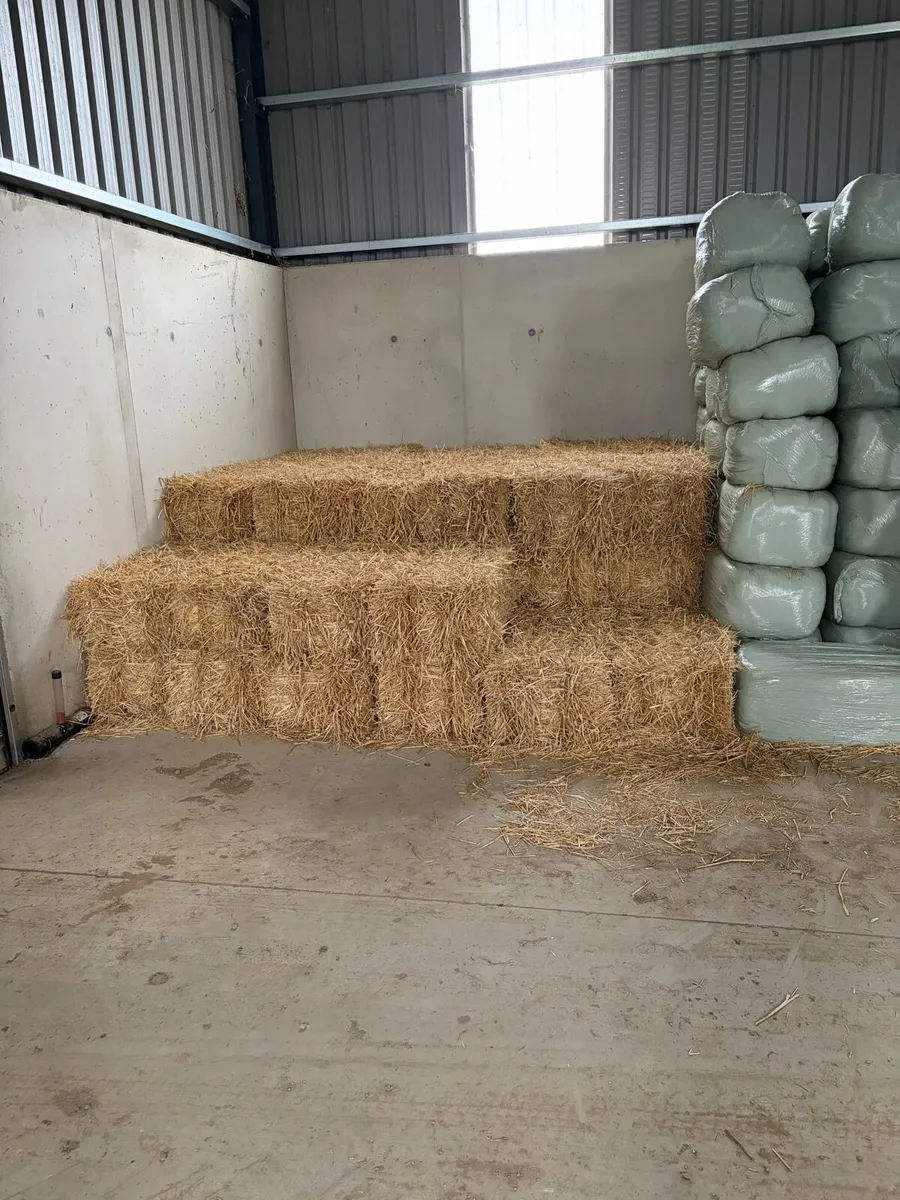 Small square bales of straw