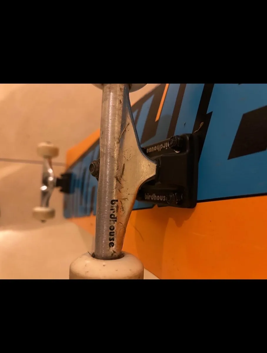 Birdhouse skateboard for sale Dublin - Image 3