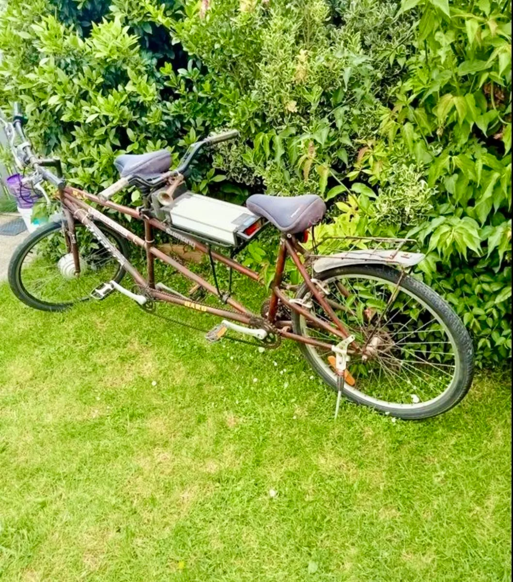 Tandem Bike - Image 2