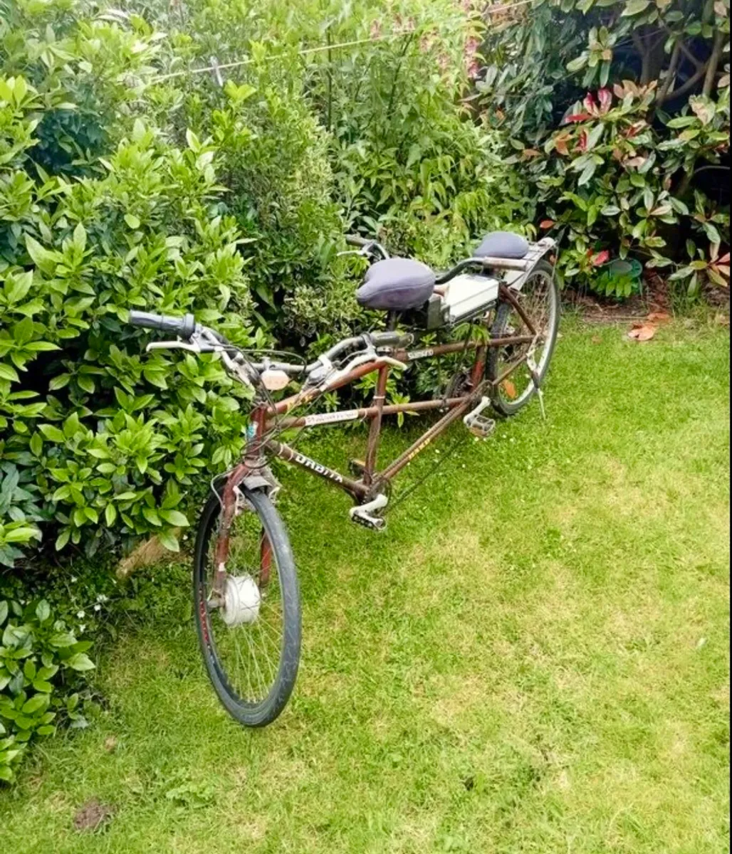 Tandem Bike - Image 3
