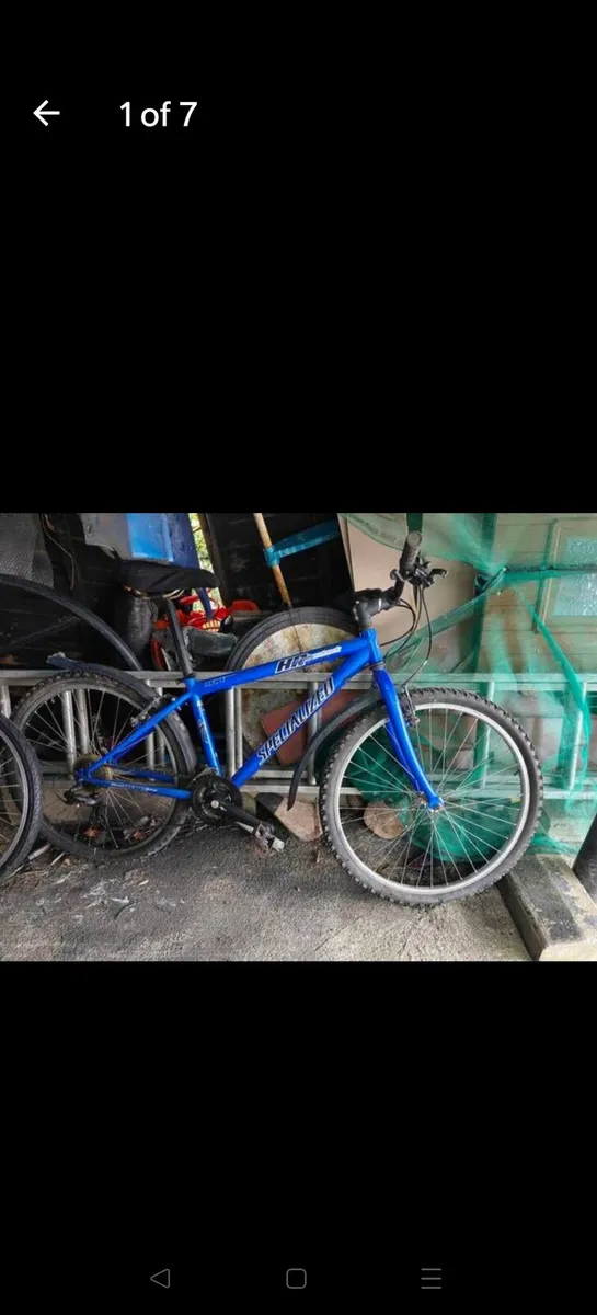 Mountain bike