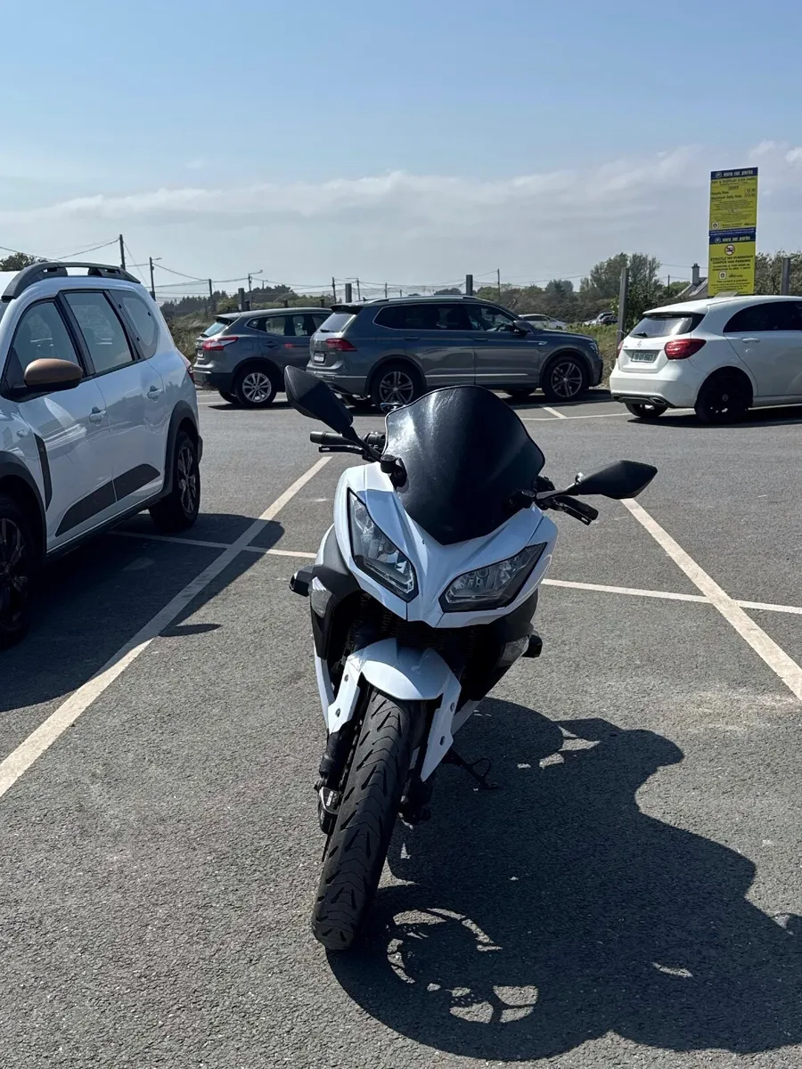 Kawasaki Ninja 300 abs - Image 2