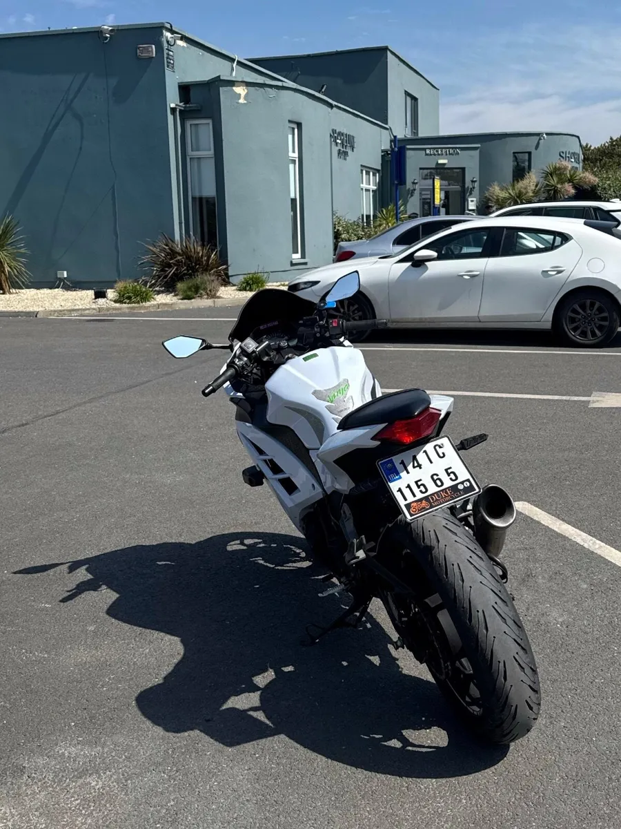 Kawasaki Ninja 300 abs - Image 3