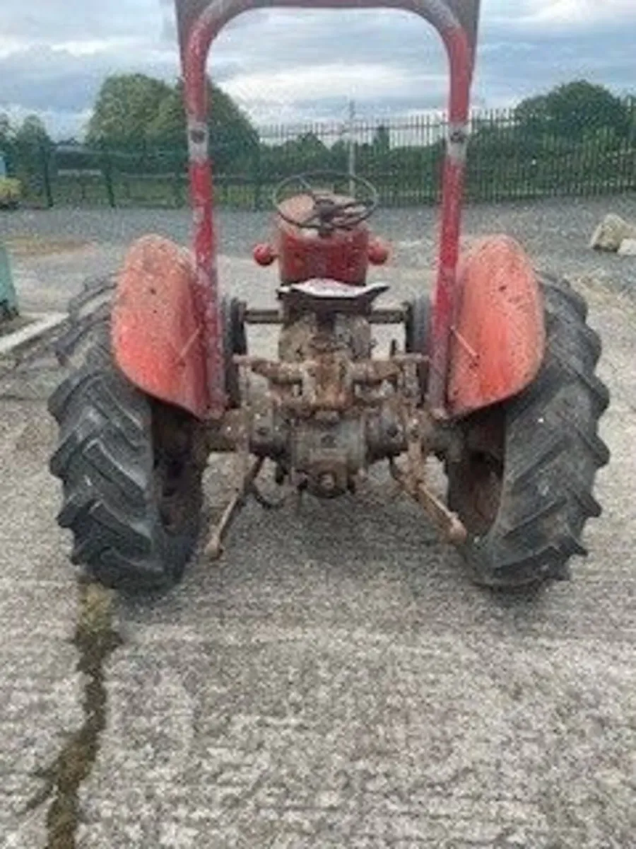 Massey Ferguson 25 - Image 2