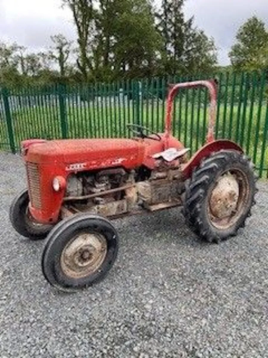 Massey Ferguson 25 - Image 1