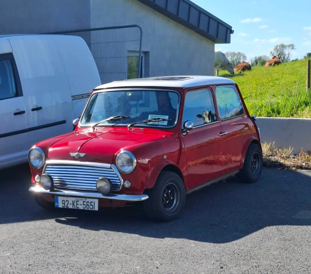 Austin Mini Cooper - Image 1