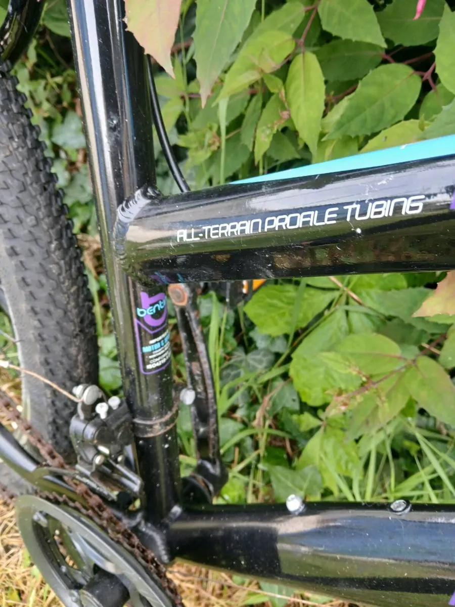 Ladies bike - Image 4