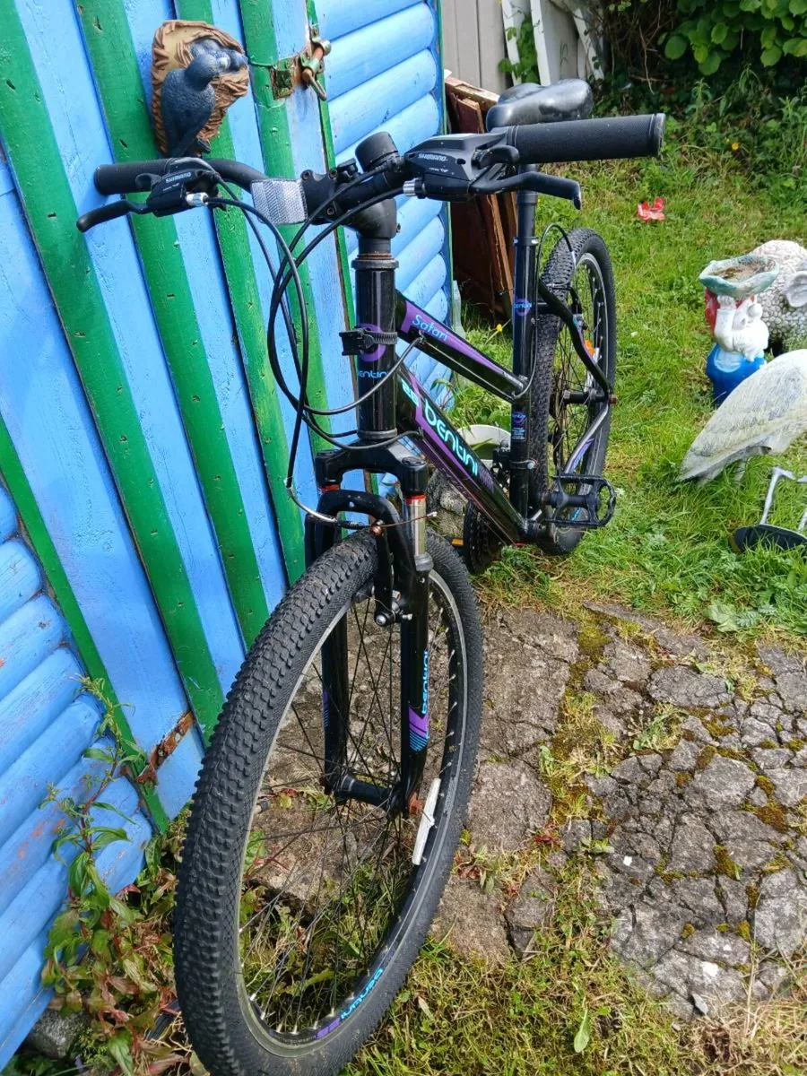Ladies bike - Image 2